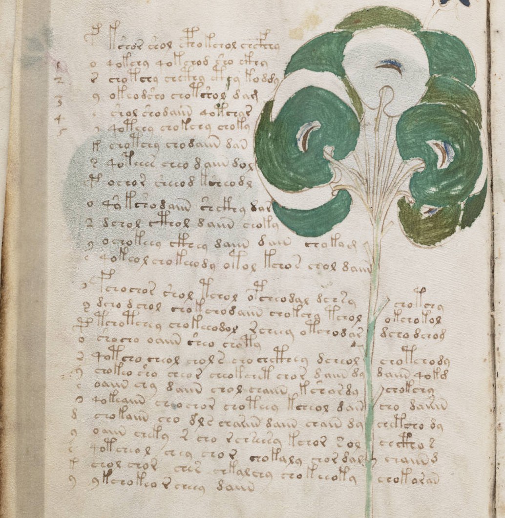 f49v: the column in the left margin, and the text against the plant