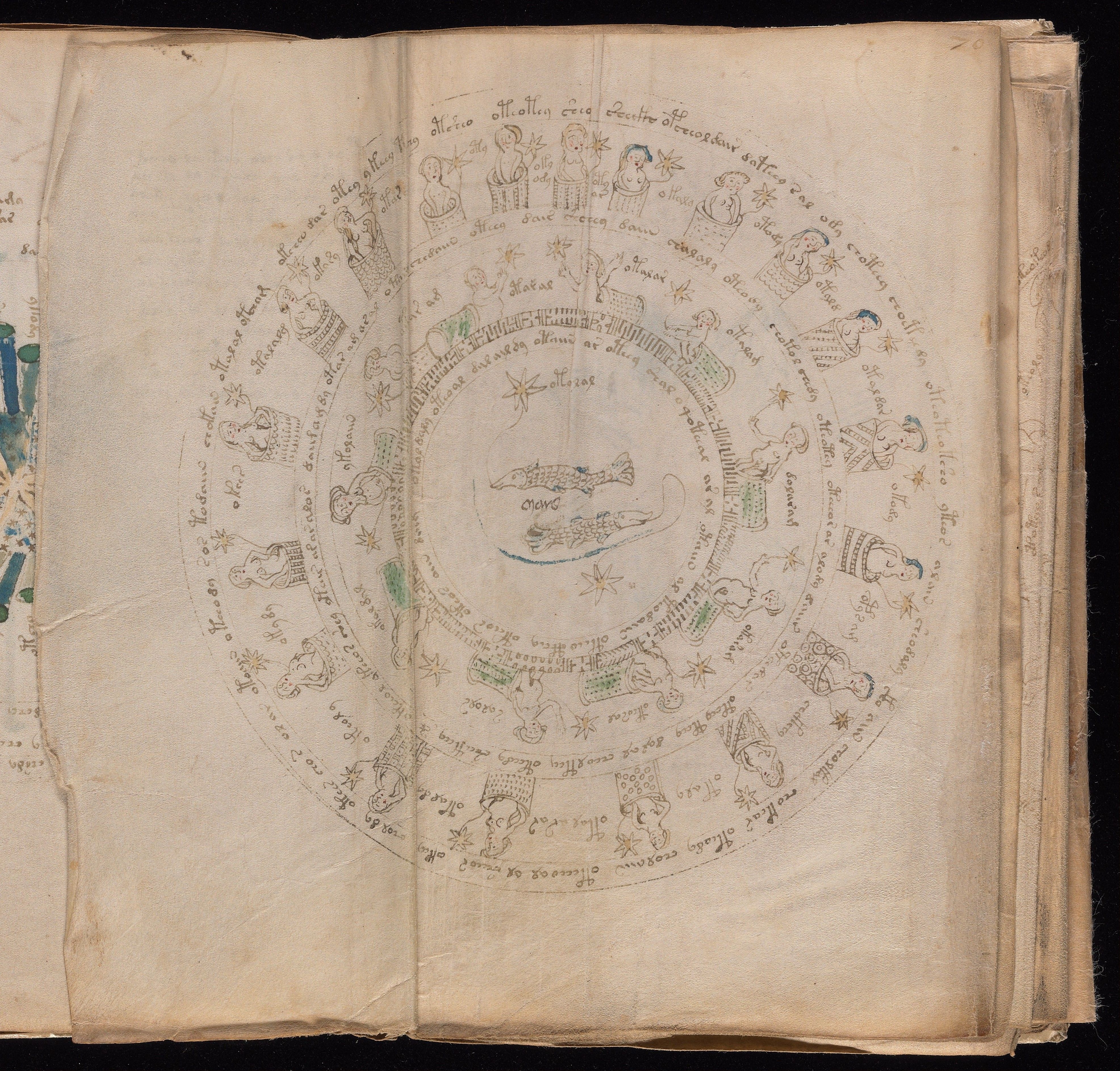 Pisces — f70v2, the last sign in binding order