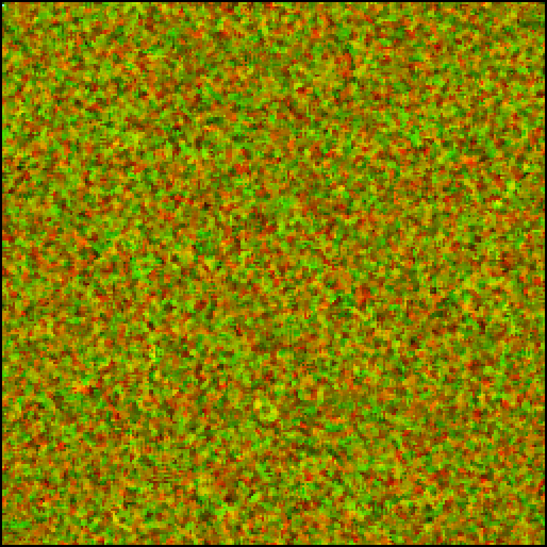 The median of the fibre in red and of the row in green