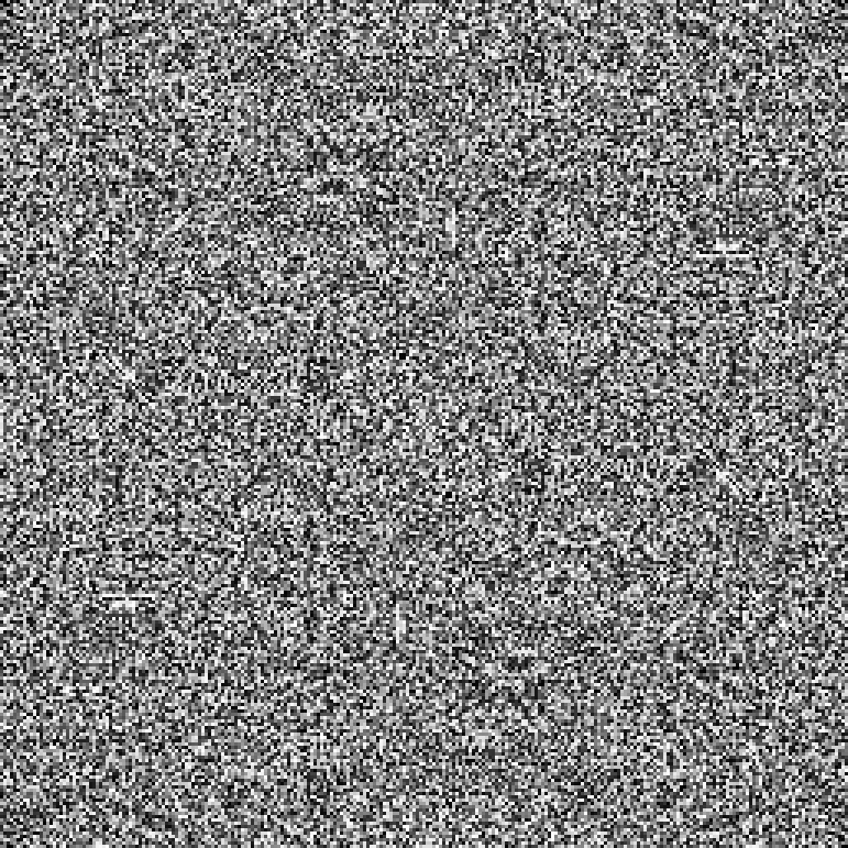 The fibre picture after the flattening of its histogram