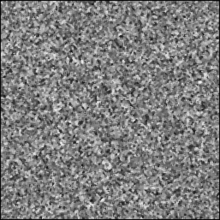The row picture after a median filter of 3 by 3